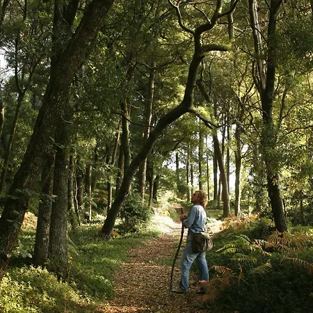 Pensión Quinta Da Bouca D'arques Vila de Punhe