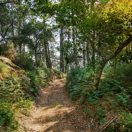 Quinta Da Bouca D'arques