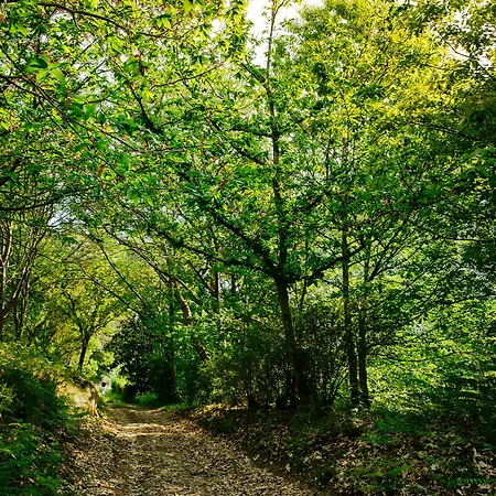 库恩塔达波卡达克斯酒店 4* Vila de Punhe