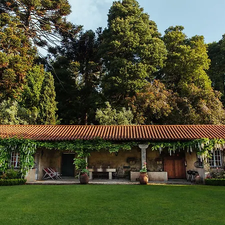 Quinta Da Bouca D'arques بيت ضيافة 4*