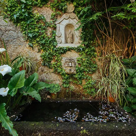 Quinta Da Bouca D'arques Гостевой дом Vila de Punhe