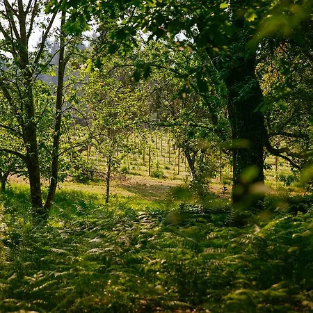 Quinta Da Bouca D'arques 3* Vila de Punhe