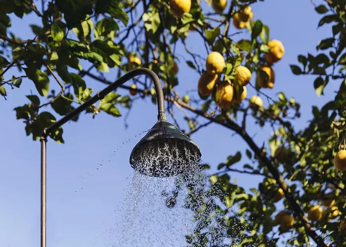 Quinta Da Bouca D'arques Pensjonat