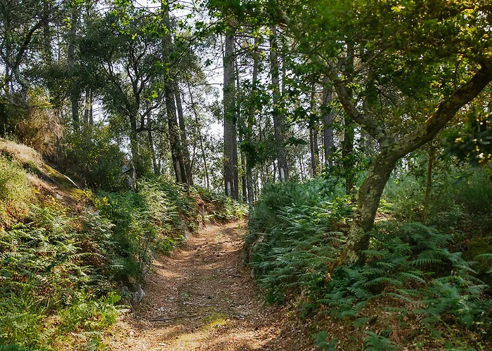 Quinta Da Bouca D'arques