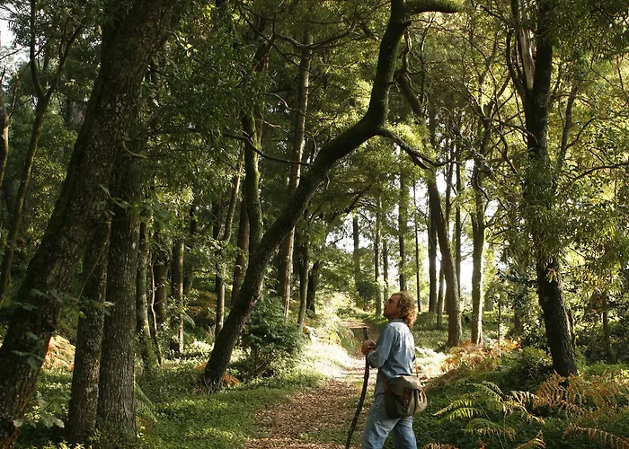 بيت ضيافة Quinta Da Bouca D'arques Vila de Punhe