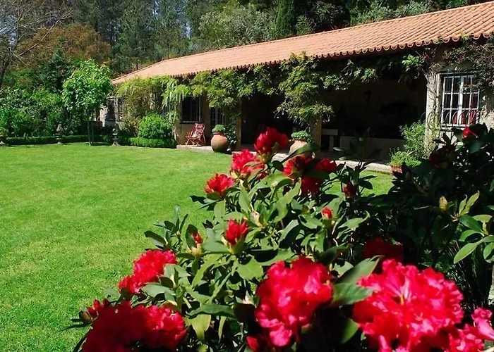 Quinta Da Bouca D'arques Pensjonat 4*