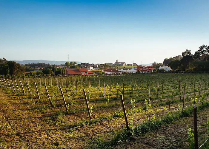 بيت ضيافة Quinta Da Bouca D'arques Vila de Punhe