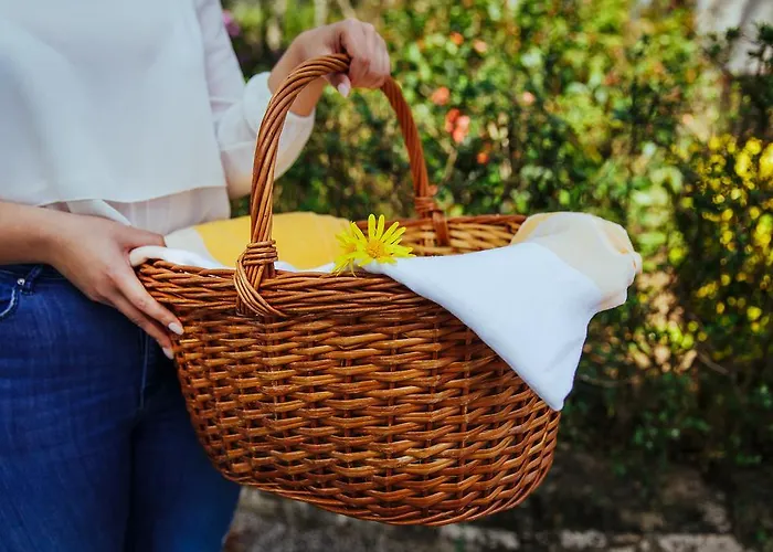 Quinta Da Bouca D'arques 4*